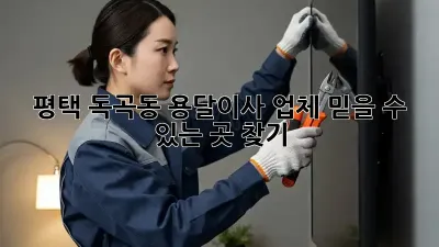 평택 독곡동 용달이사 업체, 믿을 수 있는 곳 찾기