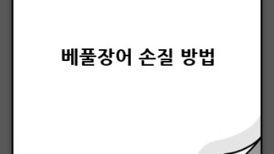 싱싱한 베풀장어 고르는 법: 맛있는 장어 요리의 시작